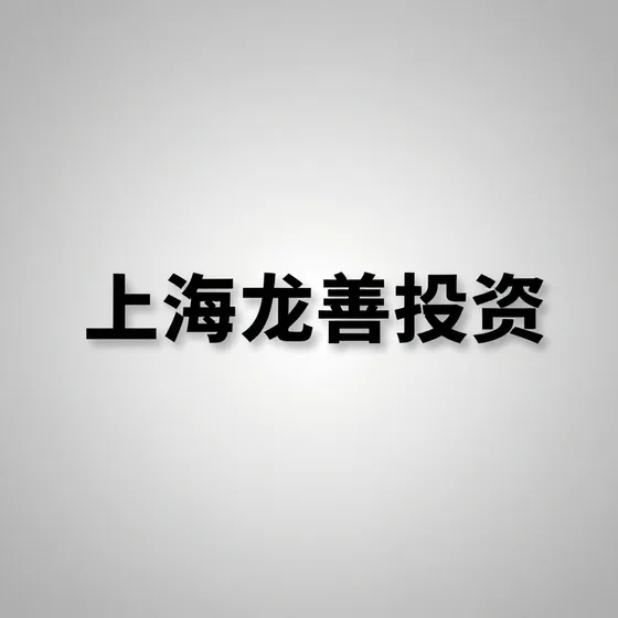 上海龙善投资