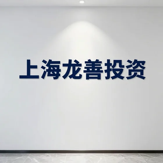 上海龙善投资