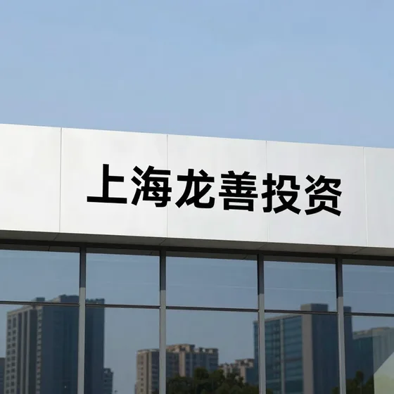 上海龙善投资